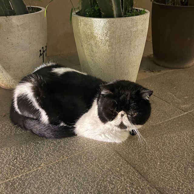 744390 玉儿