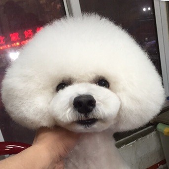 745284 张鹤