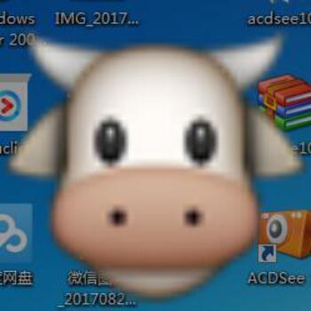 745390 百事