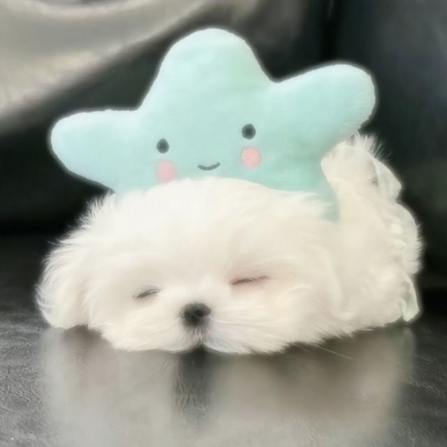 745541 ╰→錯メ過°。