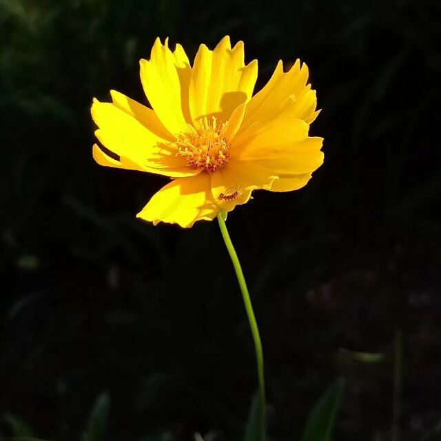745549 岁月静好