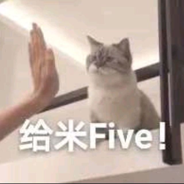746430 姚姑娘°
