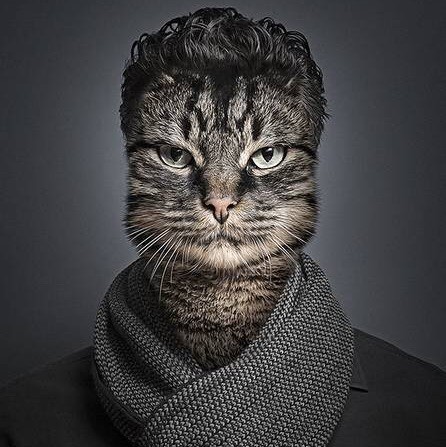 74658 老猫