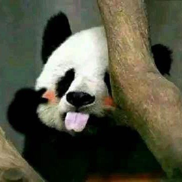 746613  91解锁 
