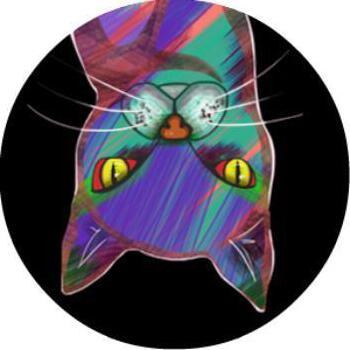 748001 ̶鱼̶缸̶掉̶进̶笨̶猫̶咪