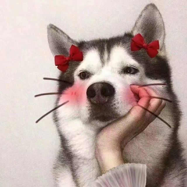 748290  