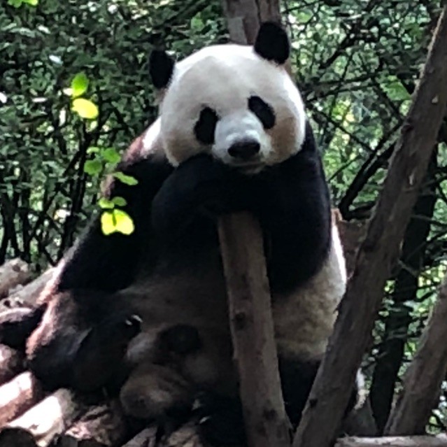 748504 无名