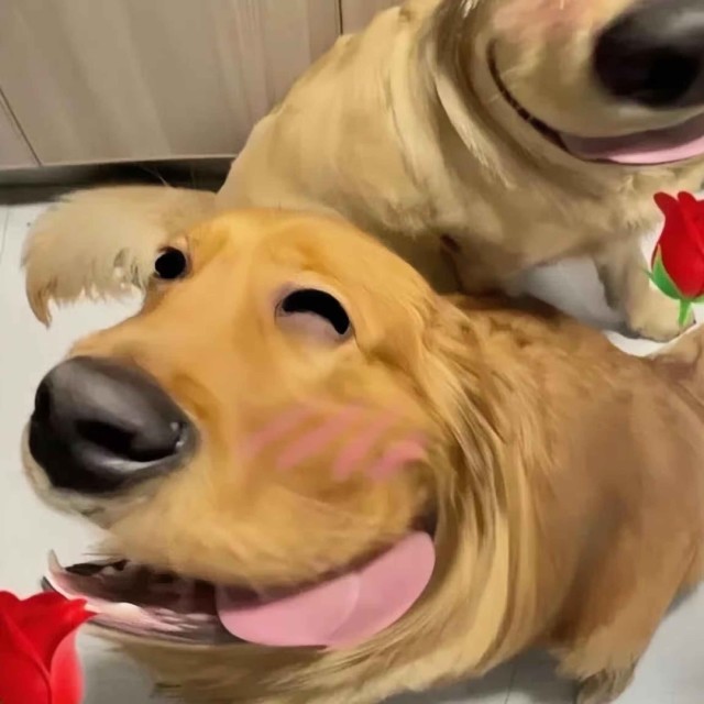 748738 美好生活