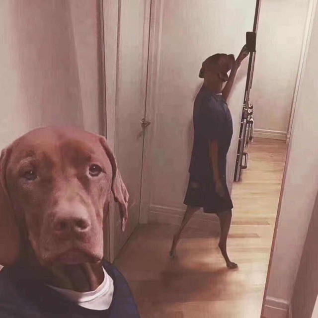 748920 ® 别和我扯那美丽的犊子