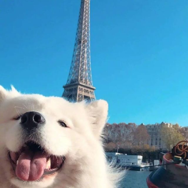 749783 大宏国际