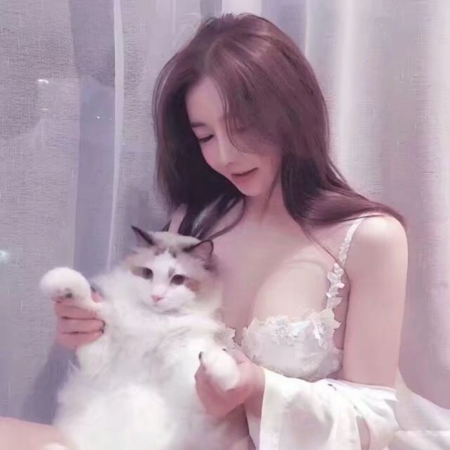 749923 深圳楚鹏广告王堃