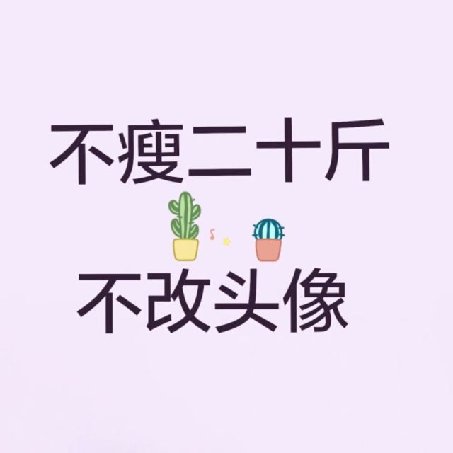 750037 枫 林 听 雨 