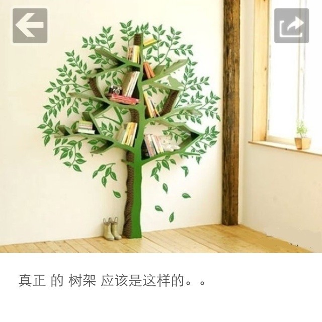 750570 清洁的精神