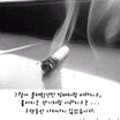 751121 蝶舞@ @