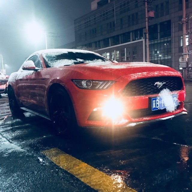 751174 ︱ 。＊