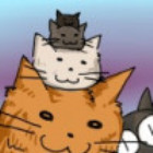 751477 薛定谔的猫
