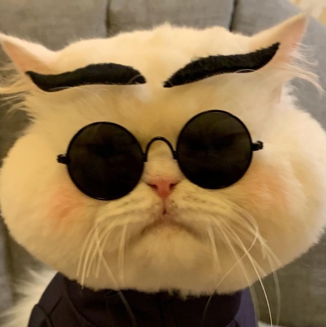 751497 猴子