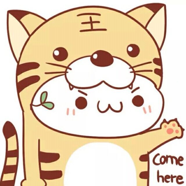 752249 猫