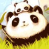 752431 张伟