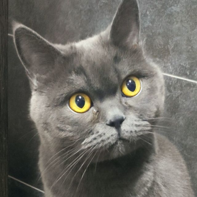 752760 ˇ.老〃男人