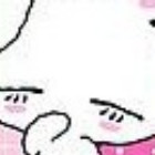 752852 小白很白