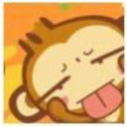 753079 羽天白