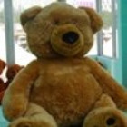 753318 Gerald