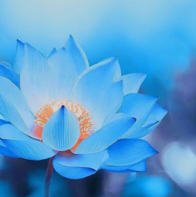 753434 米阳