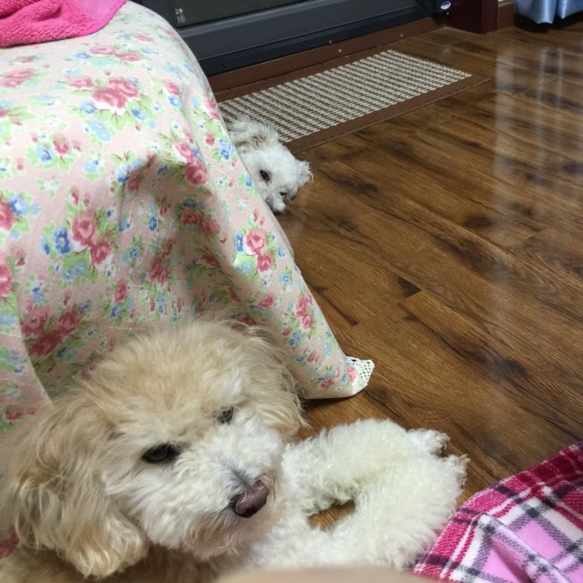 753441 ＂ 离殇丶 轻叹世间多变’