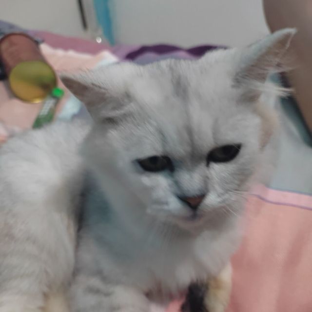 753603 黄州电脑维修