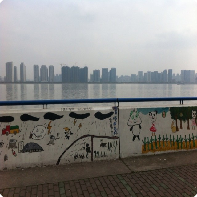753930 看天