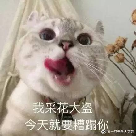 754170 じ а п ɡ