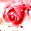754384 Luxd