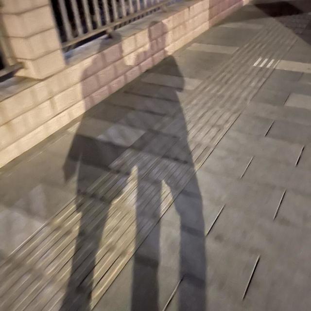 754520 ミ隨風ミ