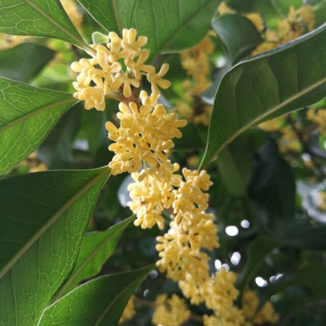 754595 天际