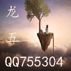755304  红尘