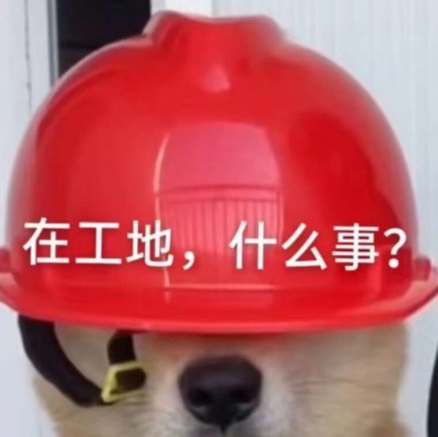 75533 春哥