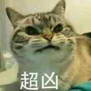 755446 酱油