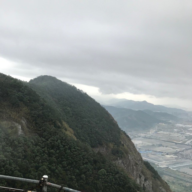 755458 窗外有梦.