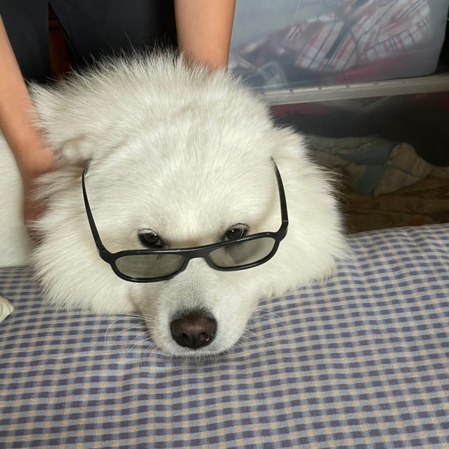 755581 帕西嘉生物客服