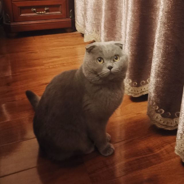 756241 梵净