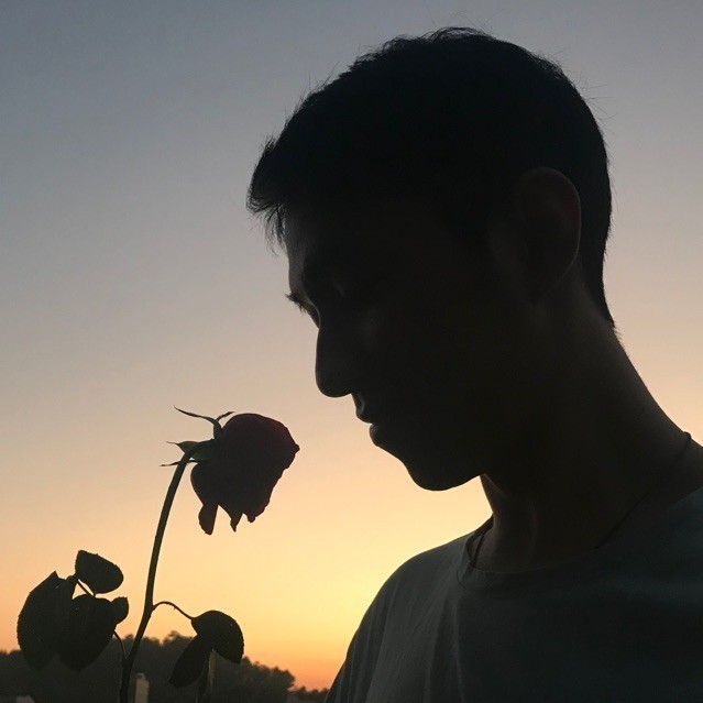 756392 肖迪
