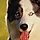 756419 MOAzhen