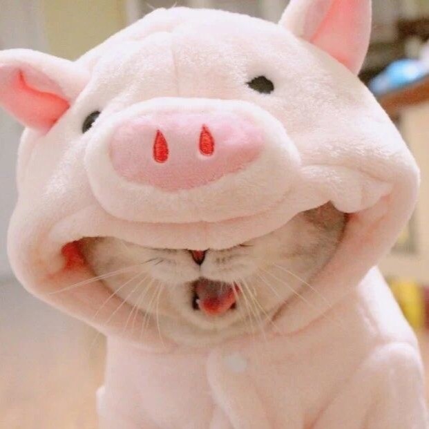 756802483 ۣ回忆不曾留忆