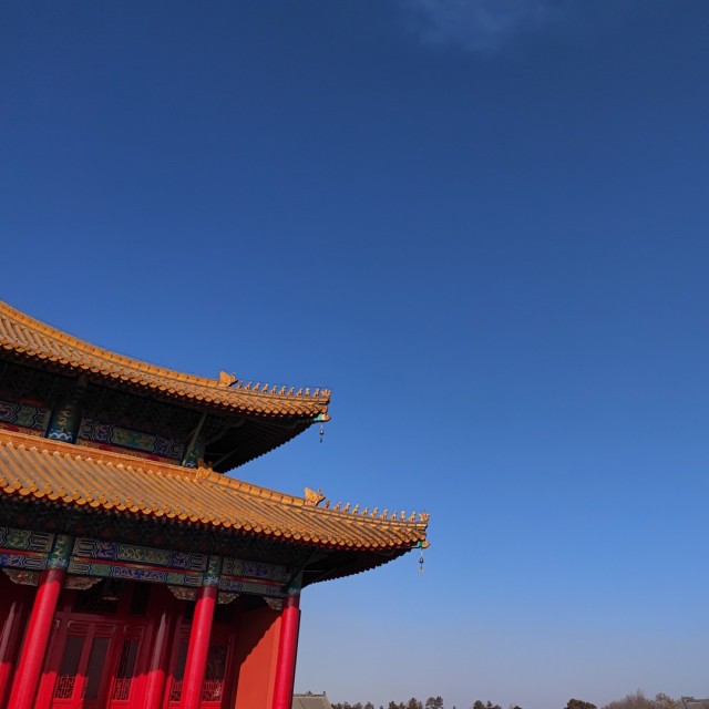 757155 乐博招商