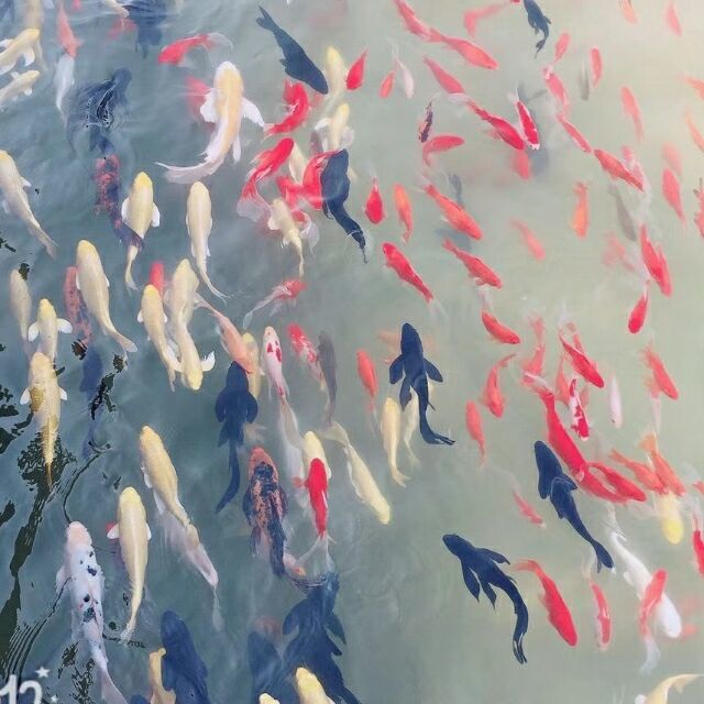 757258 ˊ鞋绝勾引。
