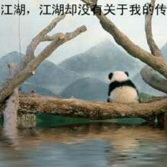 757513 太阳风暴