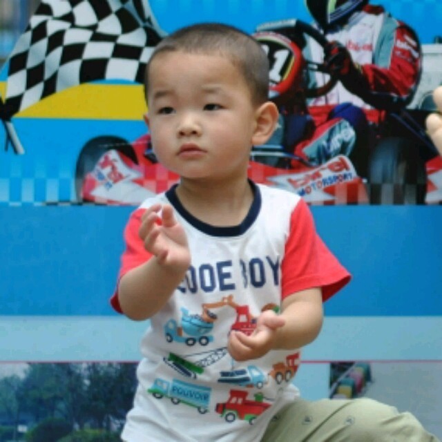 757698 缘随风凋落