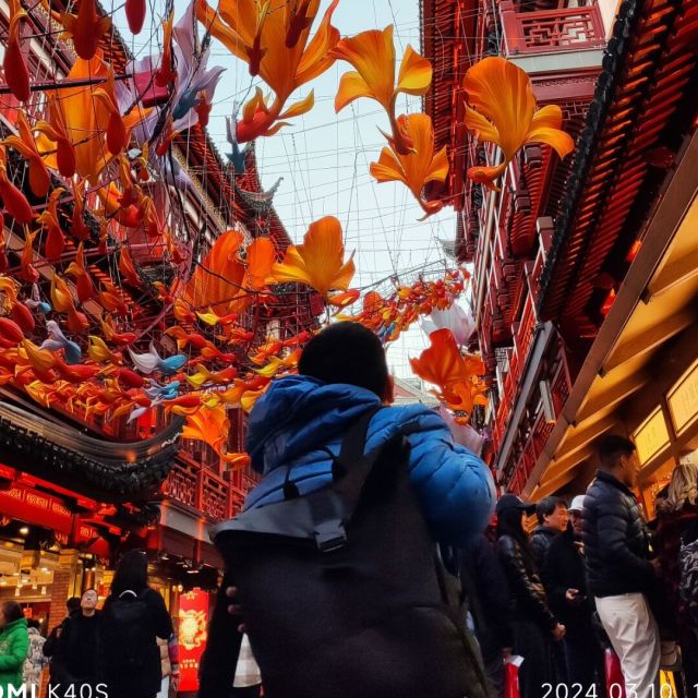 758215 我还不是菜鸟