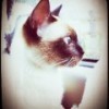 75866 Tao♪